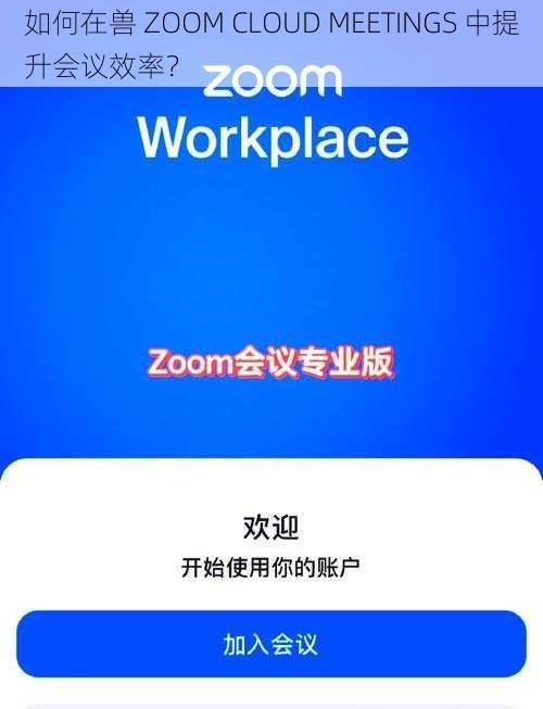 如何在兽 ZOOM CLOUD MEETINGS 中提升会议效率？