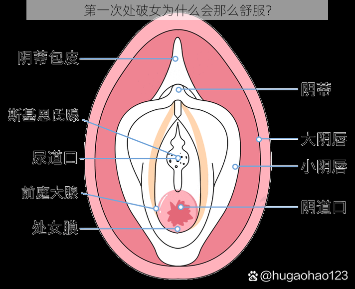 第一次处破女为什么会那么舒服？