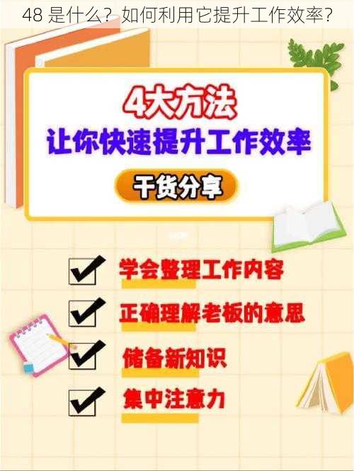 48 是什么？如何利用它提升工作效率？