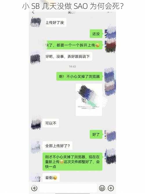 小 SB 几天没做 SAO 为何会死？