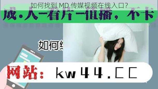 如何找到 MD 传媒视频在线入口？