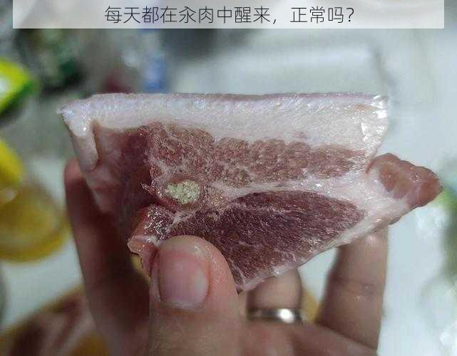 每天都在汆肉中醒来，正常吗？