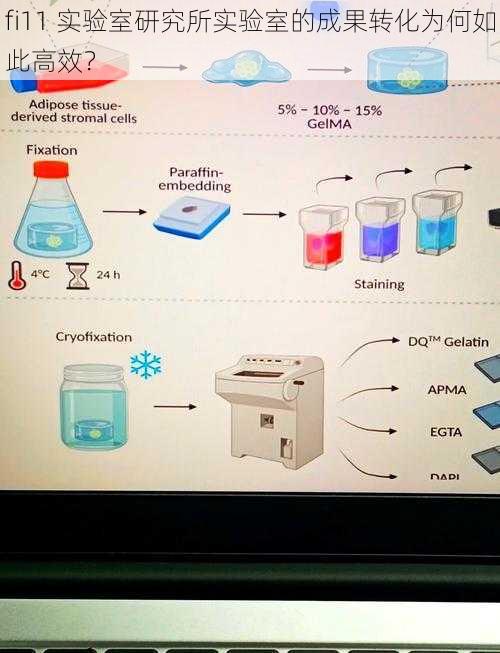 fi11 实验室研究所实验室的成果转化为何如此高效？
