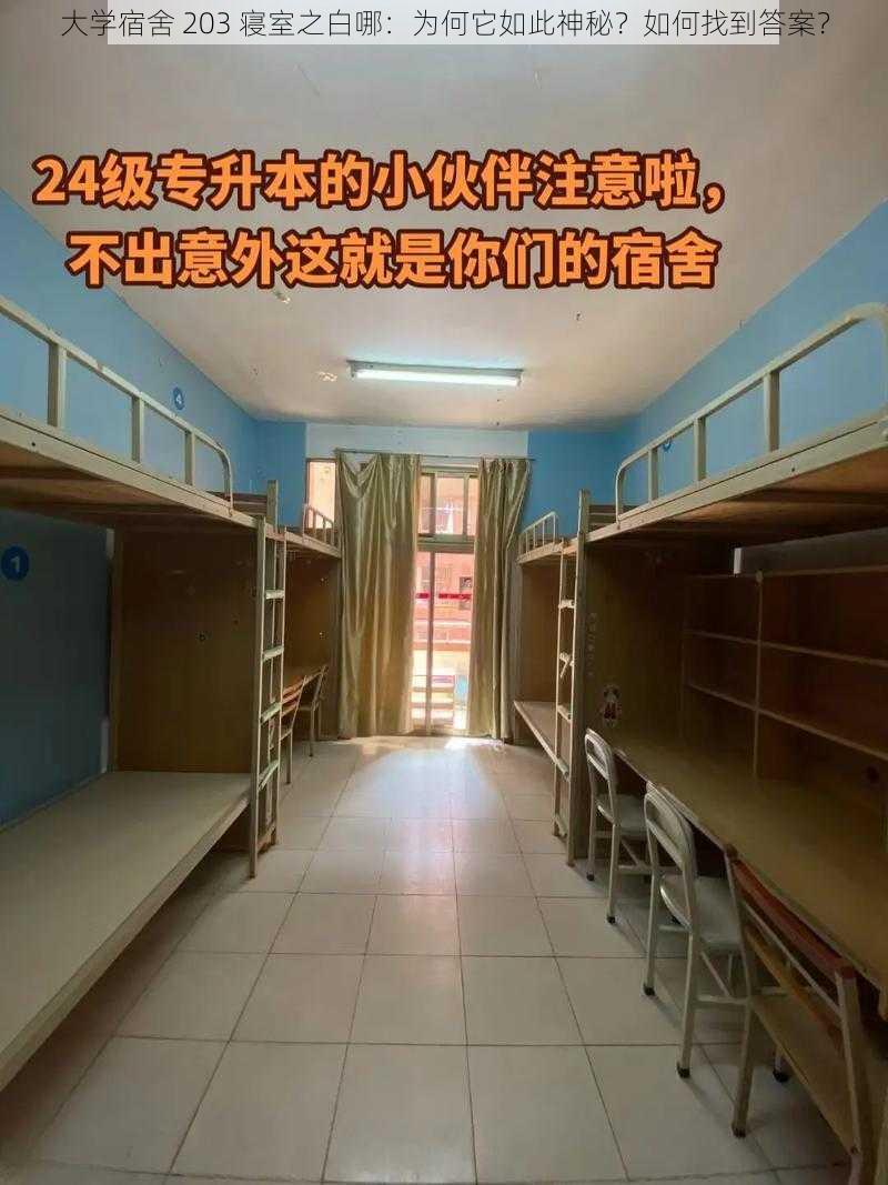 大学宿舍 203 寝室之白哪：为何它如此神秘？如何找到答案？