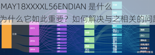 14MAY18XXXXL56ENDIAN 是什么？为什么它如此重要？如何解决与之相关的问题？