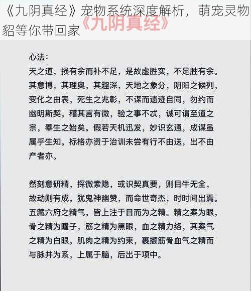 《九阴真经》宠物系统深度解析，萌宠灵物貂等你带回家