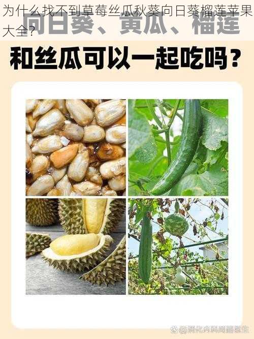 为什么找不到草莓丝瓜秋葵向日葵榴莲苹果大全？