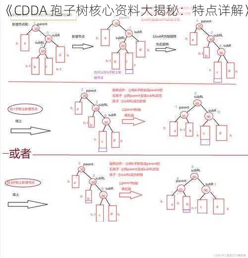 《CDDA 孢子树核心资料大揭秘：特点详解》