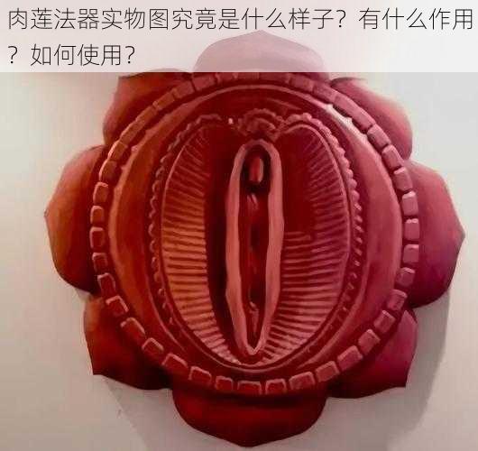 肉莲法器实物图究竟是什么样子？有什么作用？如何使用？