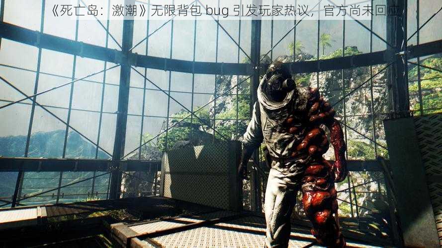 《死亡岛：激潮》无限背包 bug 引发玩家热议，官方尚未回应