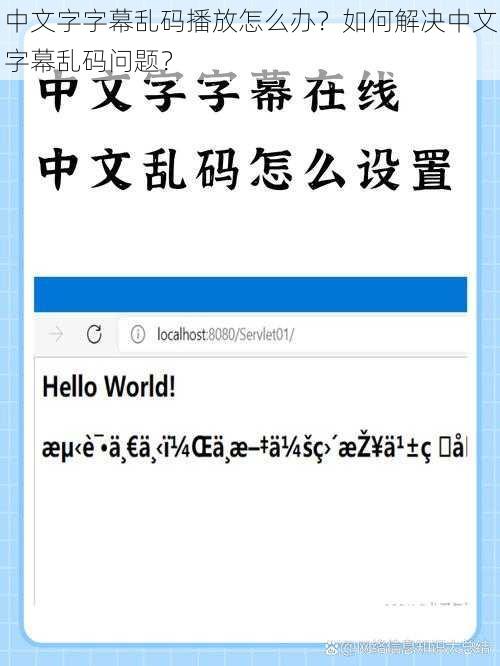 中文字字幕乱码播放怎么办？如何解决中文字幕乱码问题？