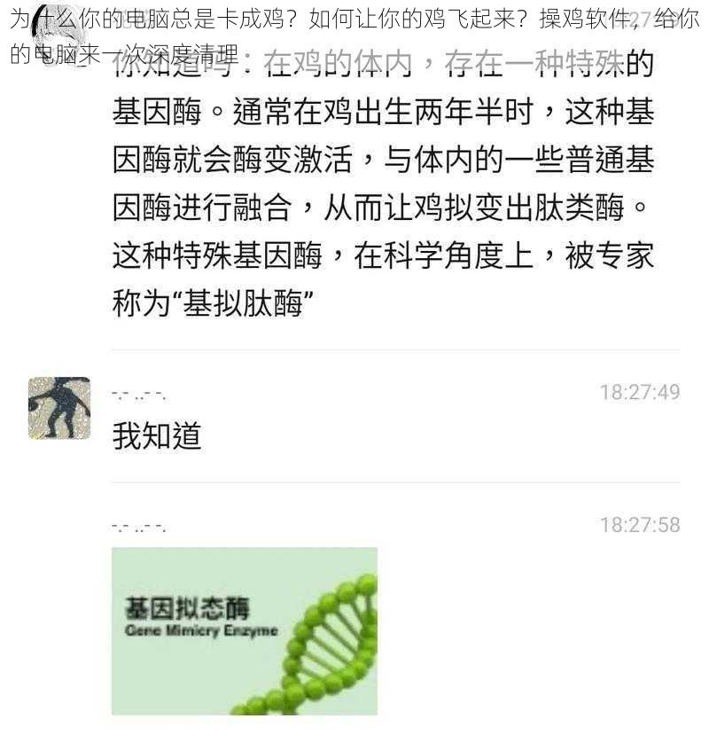 为什么你的电脑总是卡成鸡？如何让你的鸡飞起来？操鸡软件，给你的电脑来一次深度清理