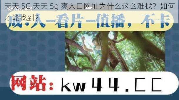 天天 5G 天天 5g 爽入口网址为什么这么难找？如何才能找到？