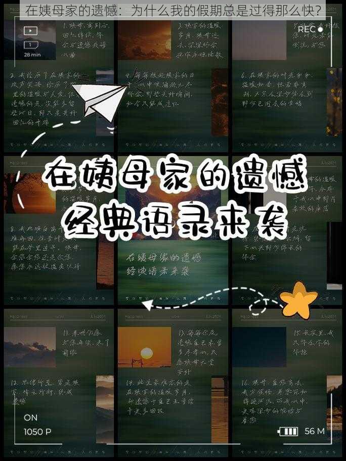 在姨母家的遗憾：为什么我的假期总是过得那么快？