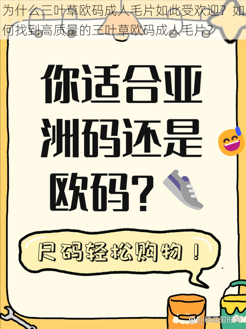 为什么三叶草欧码成人毛片如此受欢迎？如何找到高质量的三叶草欧码成人毛片？