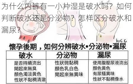 为什么内裤有一小片湿是破水吗？如何判断破水还是分泌物？怎样区分破水和漏尿？