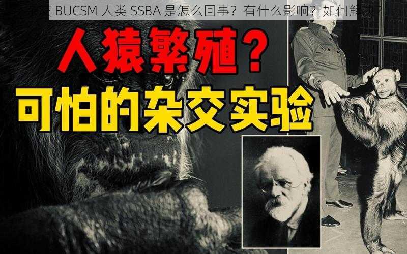 杂交 BUCSM 人类 SSBA 是怎么回事？有什么影响？如何解决？