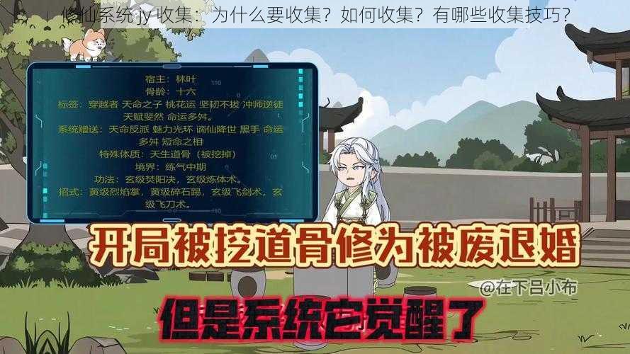 修仙系统 jy 收集：为什么要收集？如何收集？有哪些收集技巧？