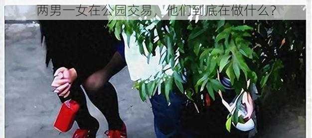 两男一女在公园交易，他们到底在做什么？