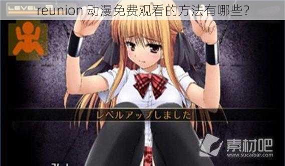 reunion 动漫免费观看的方法有哪些？