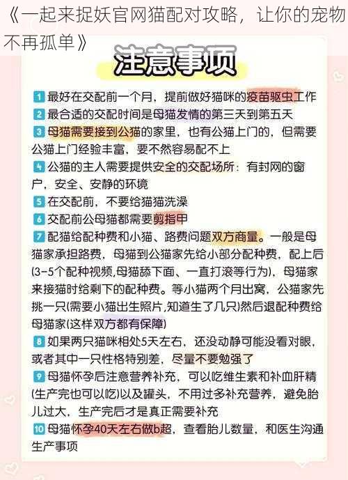 《一起来捉妖官网猫配对攻略，让你的宠物不再孤单》