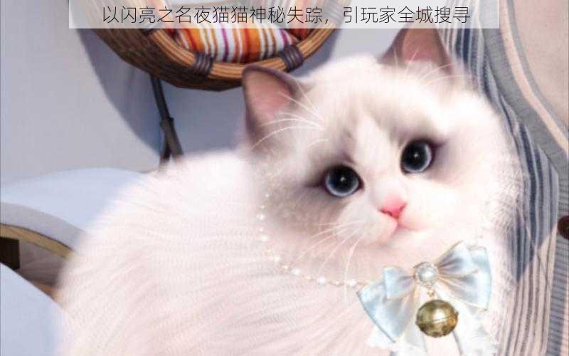 以闪亮之名夜猫猫神秘失踪，引玩家全城搜寻