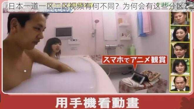 日本一道一区二区视频有何不同？为何会有这些分区？