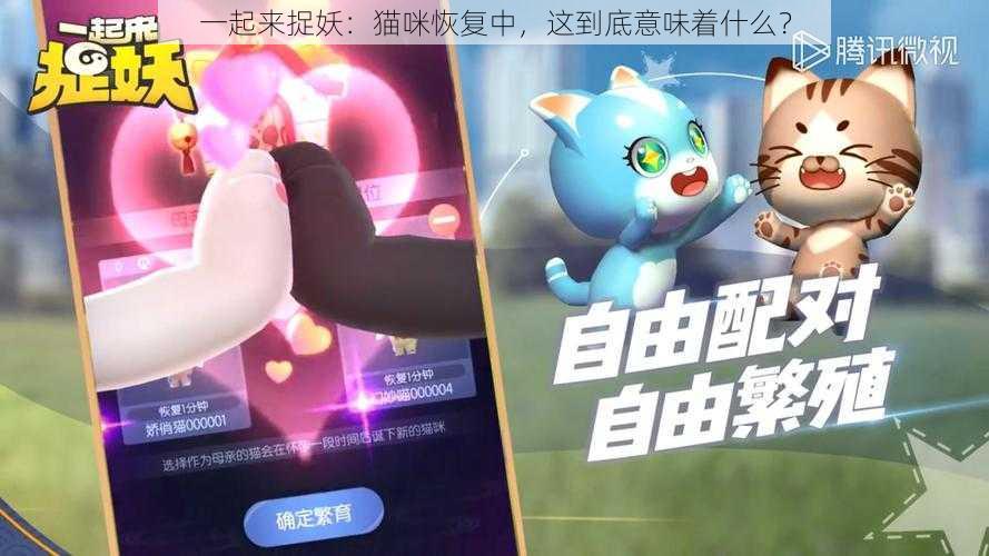 一起来捉妖：猫咪恢复中，这到底意味着什么？