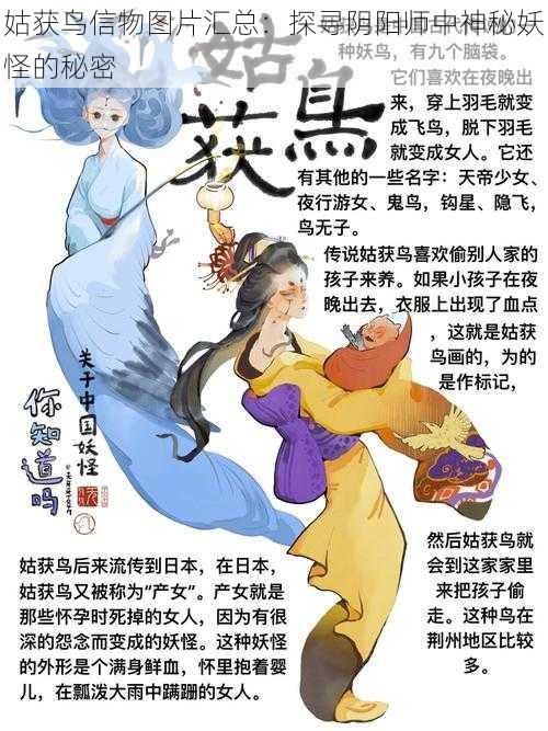 姑获鸟信物图片汇总：探寻阴阳师中神秘妖怪的秘密