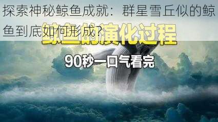 探索神秘鲸鱼成就：群星雪丘似的鲸鱼到底如何形成？