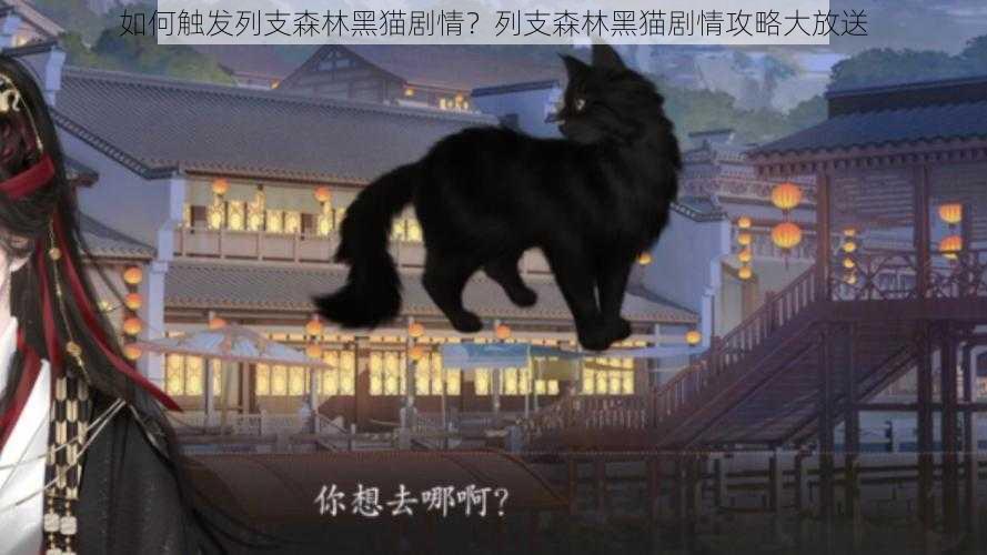 如何触发列支森林黑猫剧情？列支森林黑猫剧情攻略大放送