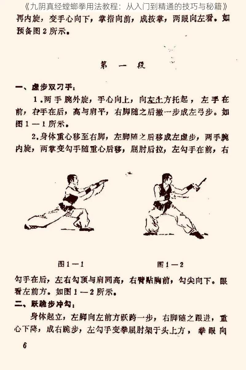 《九阴真经螳螂拳用法教程：从入门到精通的技巧与秘籍》