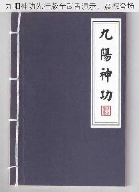 九阳神功先行版全武者演示，震撼登场