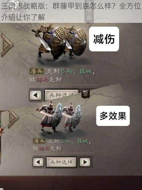 三国志战略版：群藤甲到底怎么样？全方位介绍让你了解